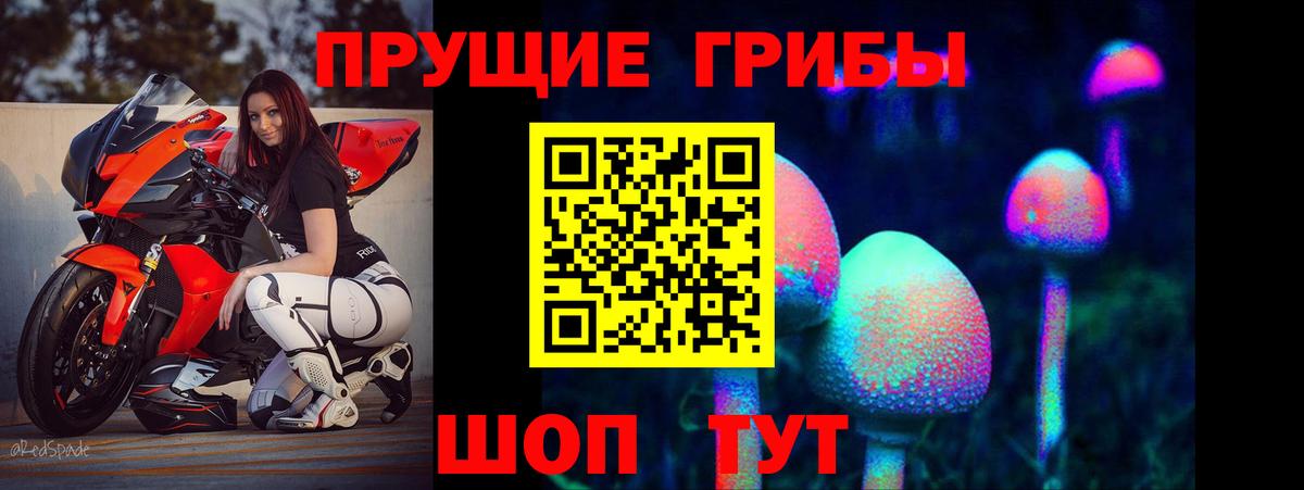 Муравленко  Псилоцибиновые грибы мухоморы  Галлюциногенные грибы Psilocybe  Вход с VPN 